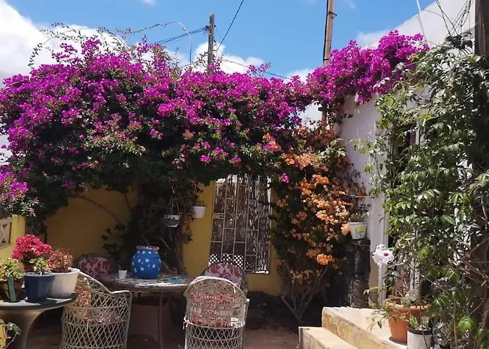 Casa De Gato Rustic Tahiche