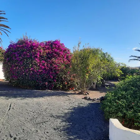 Holiday home Casa De Gato Rustic