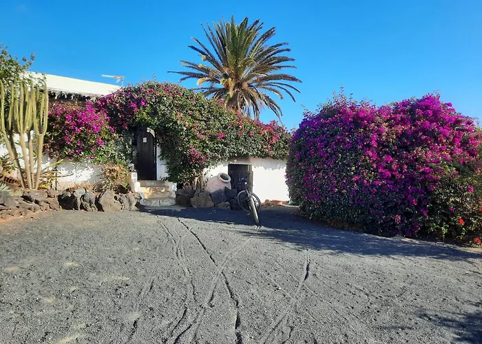 Casa De Gato Rustic *