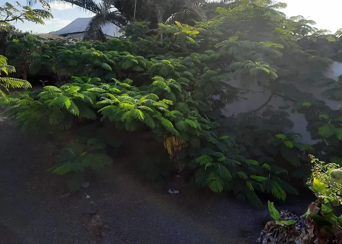 Casa De Gato Rustic Hébergement de vacances Tahiche