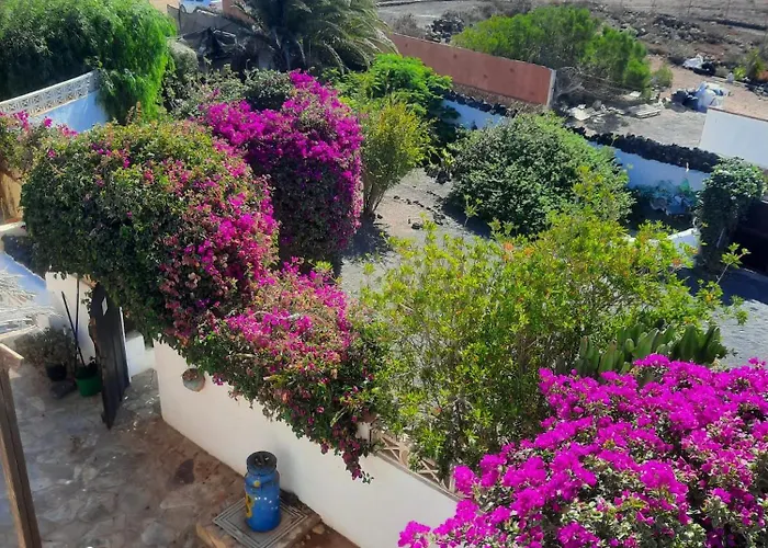 Hébergement de vacances Casa De Gato Rustic Tahiche