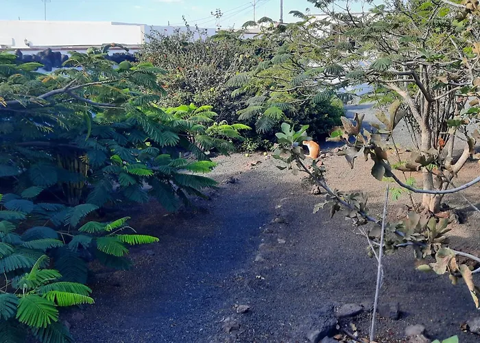 Casa De Gato Rustic *