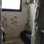 Casa De Gato Rustic