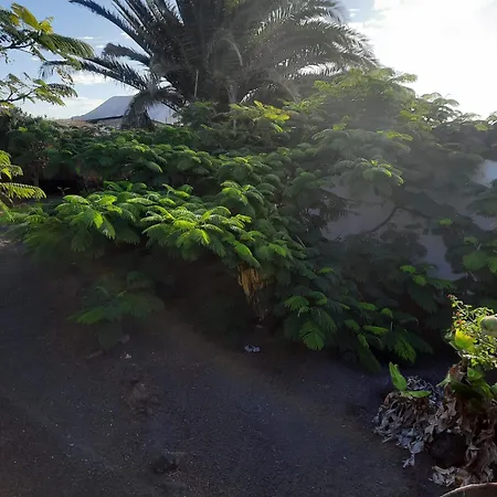 Casa De Gato Rustic Tatil Evi Tahiche