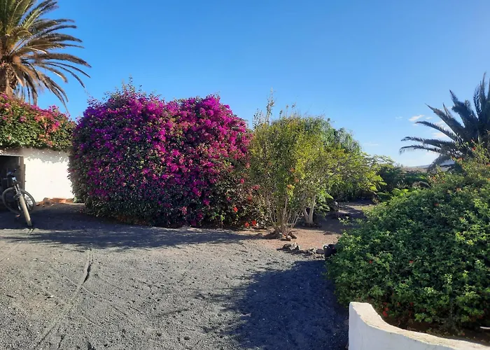 Tatil Evi Casa De Gato Rustic